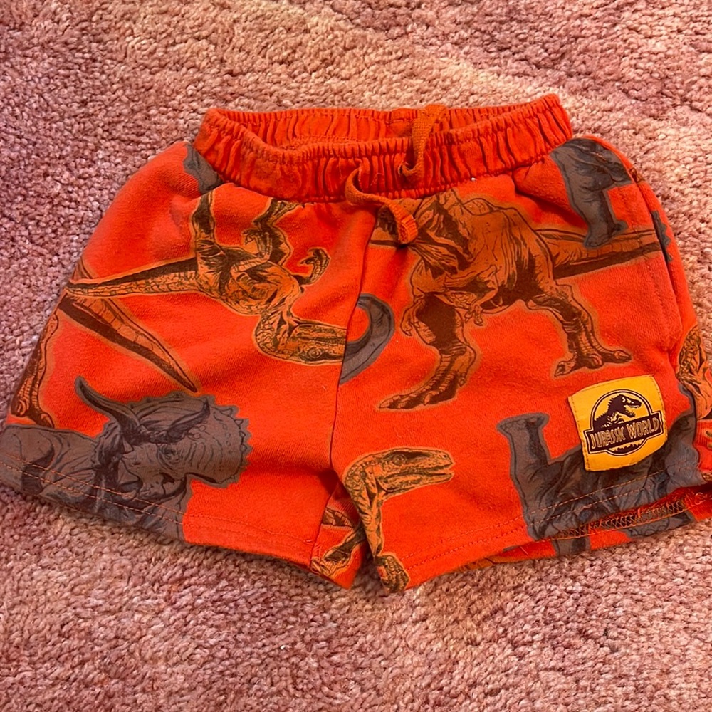Boys, Jurassic Park cotton shorts 4T